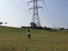 -紫颐香薰山谷景区