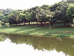 -东莞植物园