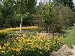 -永定河休闲森林公园