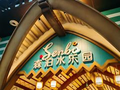 -杭州开元森泊度假乐园