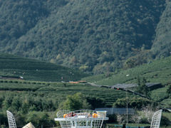 -龙坞茶村