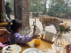-上海野生动物园老虎餐厅