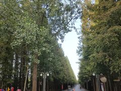 -日照海滨国家森林公园