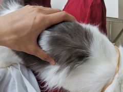 -怪兽屋·羊驼·猫咖·狗咖(俊华广场店)