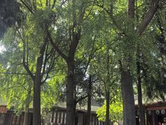 -万寿八仙宫