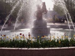 -洛阳郁金香牡丹园