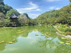 -云溪植物园