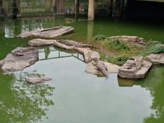 -南昌动物园