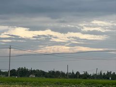 -桤木河湿地公园