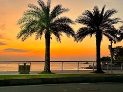 -西涌国际滨海旅游区