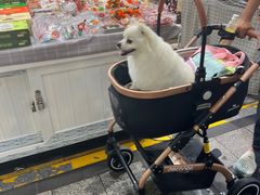 -西归浦每天偶来市场