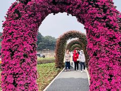 -广州市石门国家森林公园