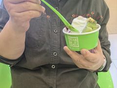 -Salud撒露欧洲冻酸奶(蓝色港湾店)