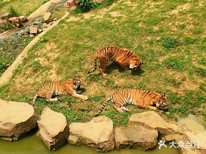 無錫動物園·太湖歡樂園圖片