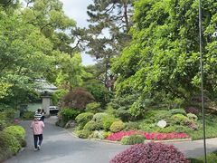 -浙江西子宾馆·瑶园咖啡厅