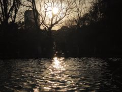 -翠湖公园