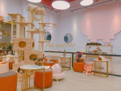 -猪盟咖啡店(玖洲道店)