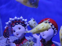 -海合安青岛极地海洋公园