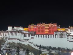 -布达拉宫