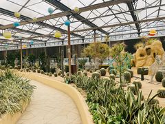 -南宫五洲植物乐园