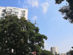 -福照楼汽锅鸡·云南菜(护国路店)