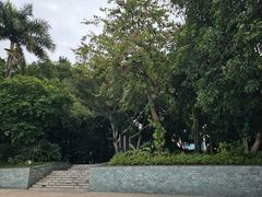 -南宁南湖公园