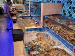 水产区-乔哥铭洋海鲜自助(皇城恒隆广场店)