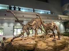 -自贡恐龙博物馆