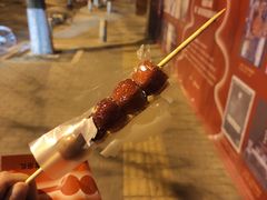 -和禄德冰糖葫芦