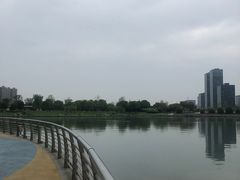 -映月湖中央公园