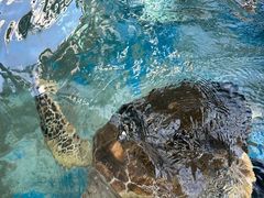 -成都浩海立方海洋公园