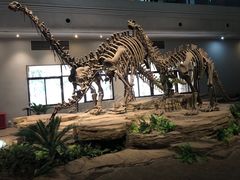 -自贡恐龙博物馆