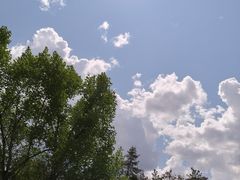 -黑龙江省森林植物园