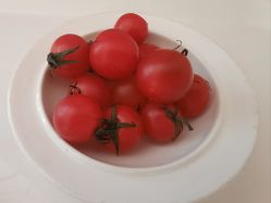 -菁幼月子会所(儿童医院店)