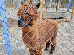 -长白岛森林公园