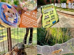 -梅州雁山湖国际花园度假区