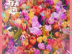 -越秀西湖花市(广州城市广场花卉店)