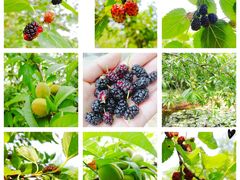 -盘龙城国家考古遗址公园