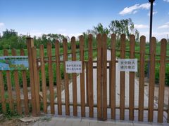-大兴滨河森林公园