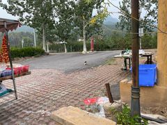 -北京龙庆四季香农家饭庄·灶台鱼·碳烤虹鳟鱼(龙庆峡店)