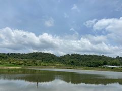 -西双版纳原始森林公园