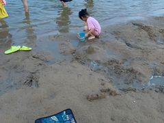 -碧海金沙