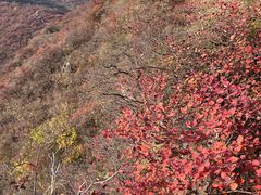 -水峪民俗村