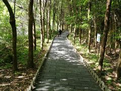 -黄山翡翠谷景区