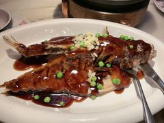 -绿茶餐厅(青岛城阳万象汇店)