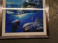 -海韵之星邮轮水会(明发商业广场店)