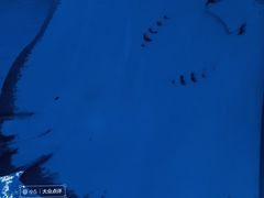 -重庆欢乐海底世界