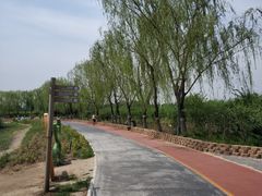 -大兴滨河森林公园