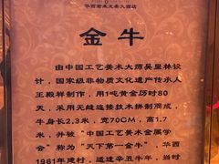 -华西村
