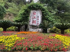 -广州白江湖森林公园